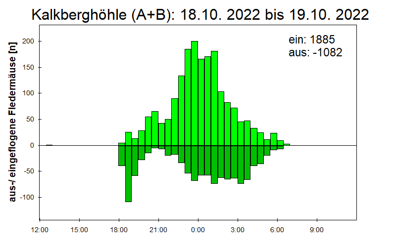 [Fledermaus] Lichtschranke: Segeberger Kalkberg (NABU Schleswig-Holstein)