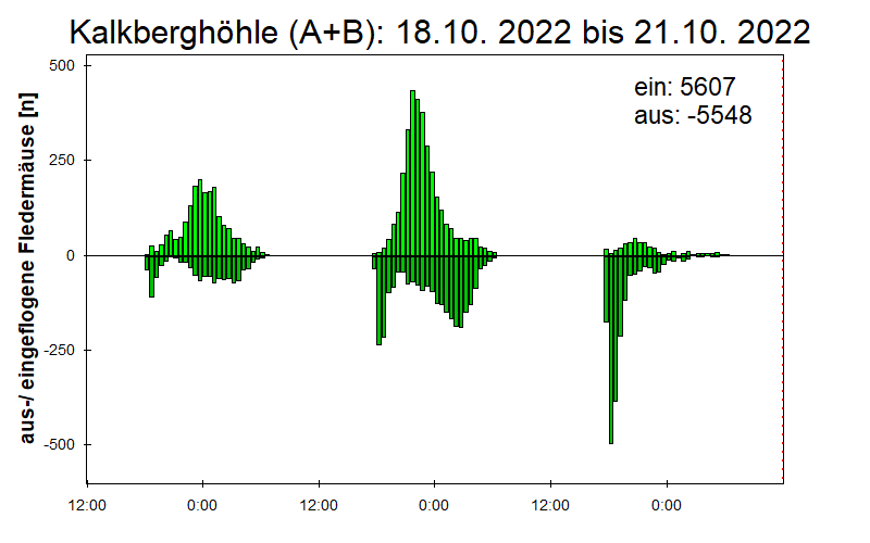 [Fledermaus] Lichtschranke: Segeberger Kalkberg (NABU Schleswig-Holstein)