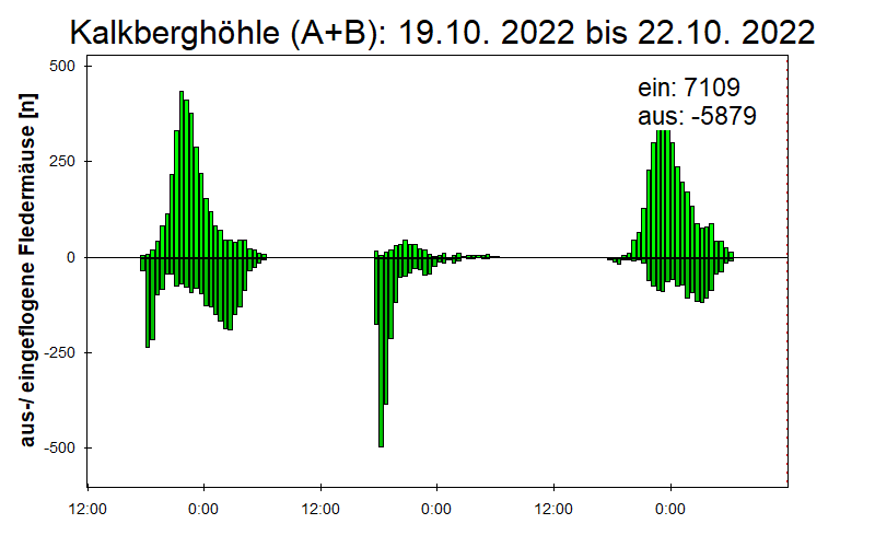 [Fledermaus] Lichtschranke: Segeberger Kalkberg (NABU Schleswig-Holstein)