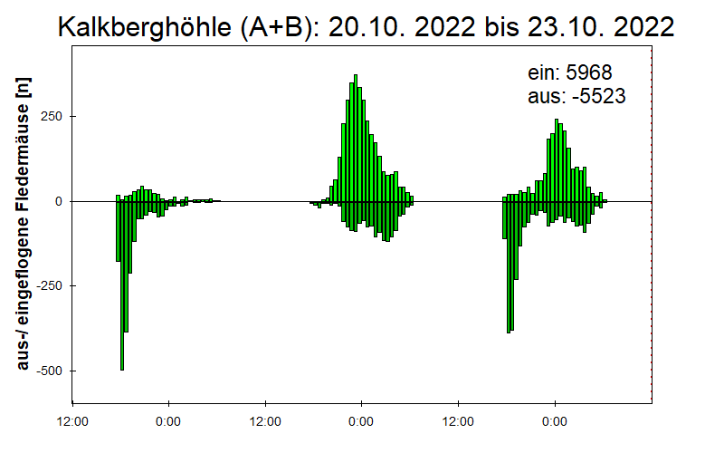 [Fledermaus] Lichtschranke: Segeberger Kalkberg (NABU Schleswig-Holstein)