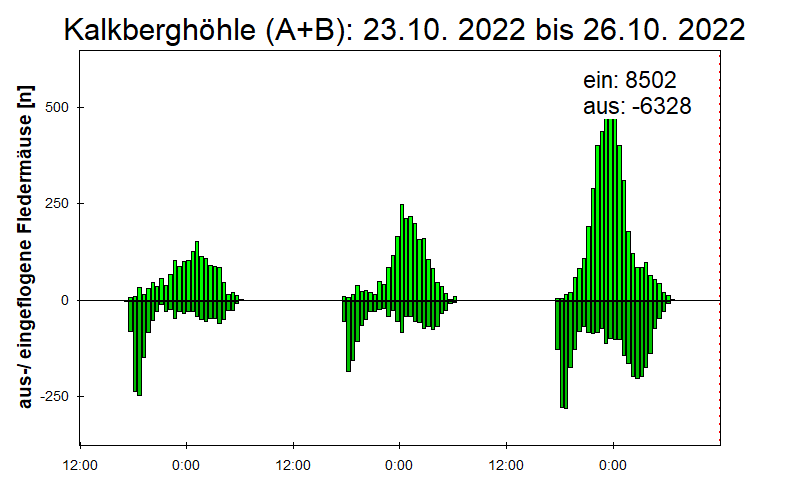 [Fledermaus] Lichtschranke: Segeberger Kalkberg (NABU Schleswig-Holstein)