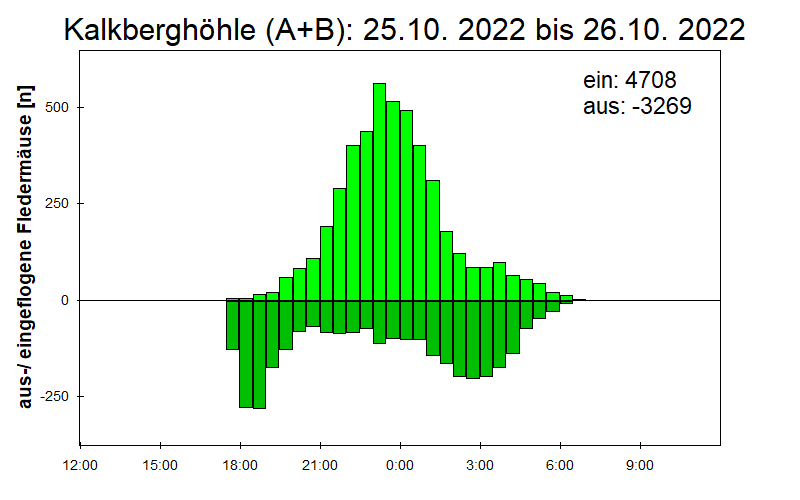 [Fledermaus] Lichtschranke: Segeberger Kalkberg (NABU Schleswig-Holstein)