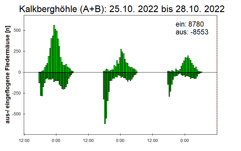 [Fledermaus] Lichtschranke: Segeberger Kalkberg (NABU Schleswig-Holstein)