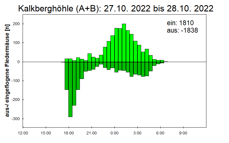 [Fledermaus] Lichtschranke: Segeberger Kalkberg (NABU Schleswig-Holstein)