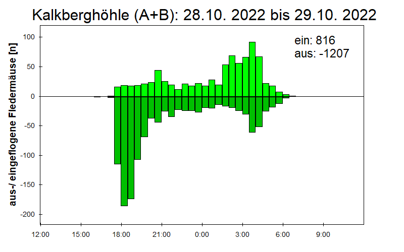 [Fledermaus] Lichtschranke: Segeberger Kalkberg (NABU Schleswig-Holstein)