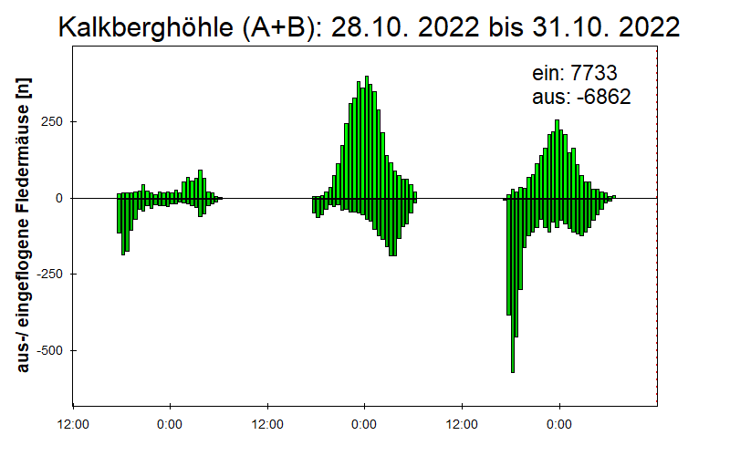 [Fledermaus] Lichtschranke: Segeberger Kalkberg (NABU Schleswig-Holstein)