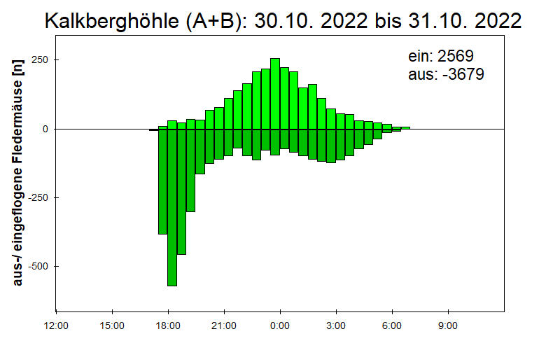 [Fledermaus] Lichtschranke: Segeberger Kalkberg (NABU Schleswig-Holstein)