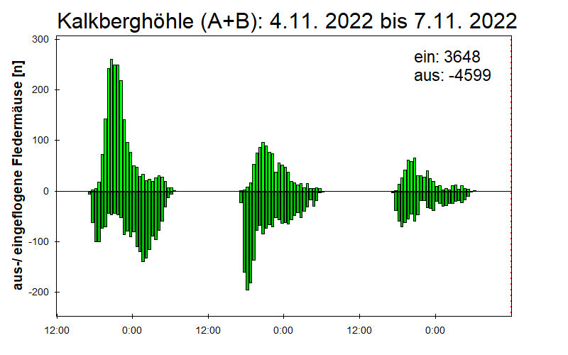[Fledermaus] Lichtschranke: Segeberger Kalkberg (NABU Schleswig-Holstein)