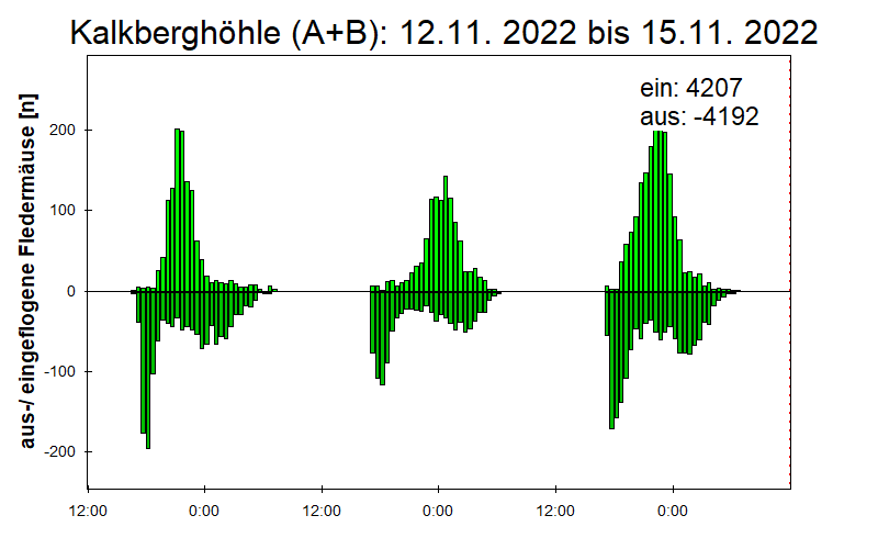 [Fledermaus] Lichtschranke: Segeberger Kalkberg (NABU Schleswig-Holstein)
