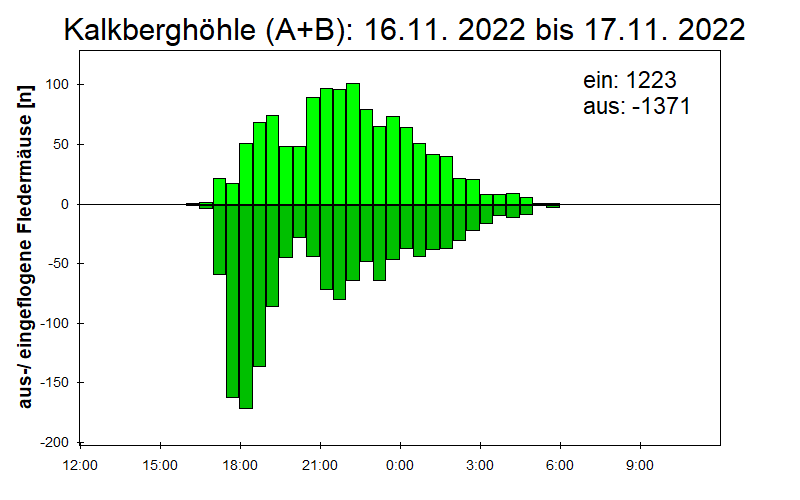 [Fledermaus] Lichtschranke: Segeberger Kalkberg (NABU Schleswig-Holstein)