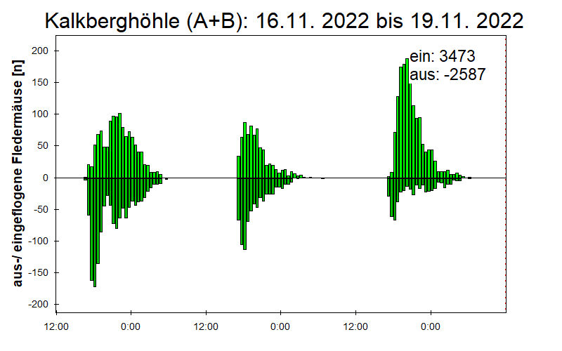 [Fledermaus] Lichtschranke: Segeberger Kalkberg (NABU Schleswig-Holstein)