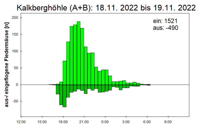 [Fledermaus] Lichtschranke: Segeberger Kalkberg (NABU Schleswig-Holstein)