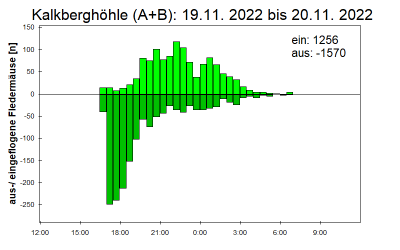 [Fledermaus] Lichtschranke: Segeberger Kalkberg (NABU Schleswig-Holstein)