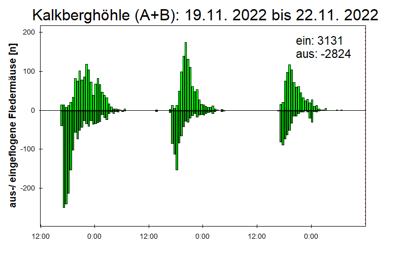 [Fledermaus] Lichtschranke: Segeberger Kalkberg (NABU Schleswig-Holstein)