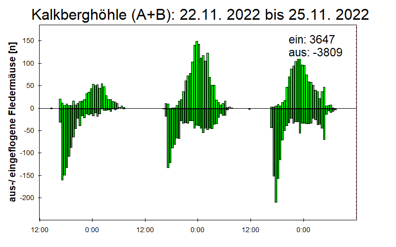 [Fledermaus] Lichtschranke: Segeberger Kalkberg (NABU Schleswig-Holstein)