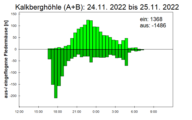 [Fledermaus] Lichtschranke: Segeberger Kalkberg (NABU Schleswig-Holstein)