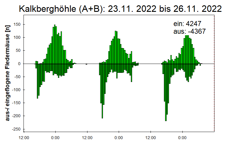 [Fledermaus] Lichtschranke: Segeberger Kalkberg (NABU Schleswig-Holstein)