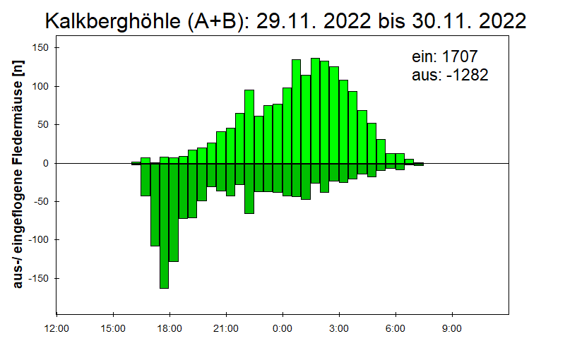 [Fledermaus] Lichtschranke: Segeberger Kalkberg (NABU Schleswig-Holstein)