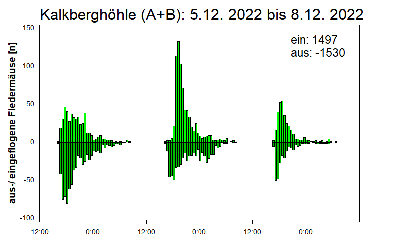 [Fledermaus] Lichtschranke: Segeberger Kalkberg (NABU Schleswig-Holstein)