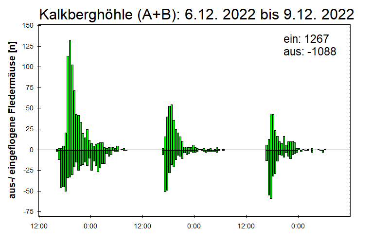 [Fledermaus] Lichtschranke: Segeberger Kalkberg (NABU Schleswig-Holstein)