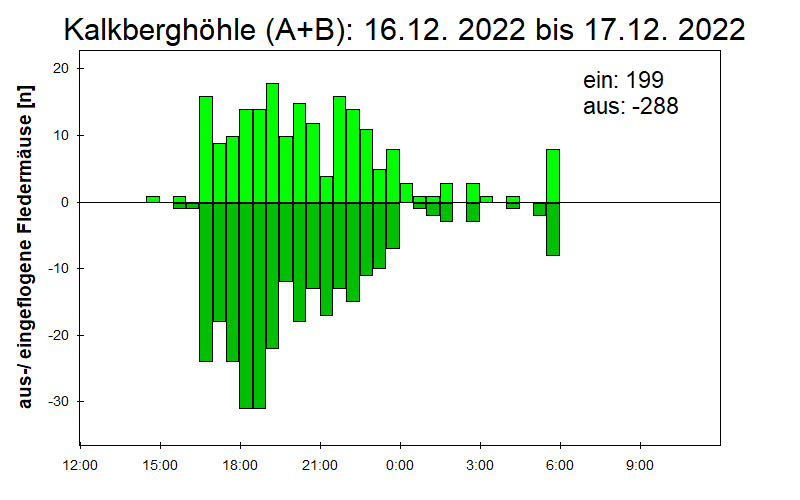 [Fledermaus] Lichtschranke: Segeberger Kalkberg (NABU Schleswig-Holstein)