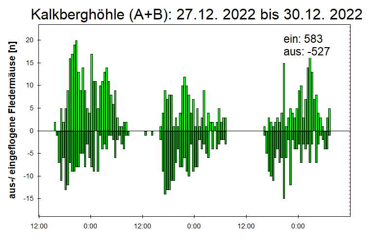 [Fledermaus] Lichtschranke: Segeberger Kalkberg (NABU Schleswig-Holstein)