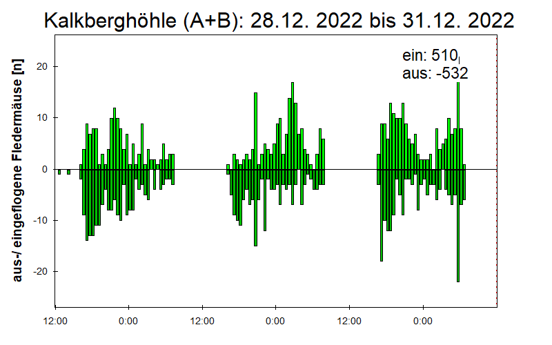 [Fledermaus] Lichtschranke: Segeberger Kalkberg (NABU Schleswig-Holstein)