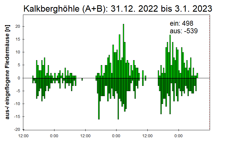 [Fledermaus] Lichtschranke: Segeberger Kalkberg (NABU Schleswig-Holstein)