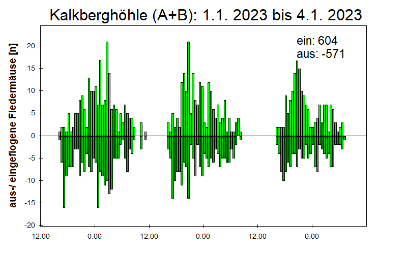 [Fledermaus] Lichtschranke: Segeberger Kalkberg (NABU Schleswig-Holstein)