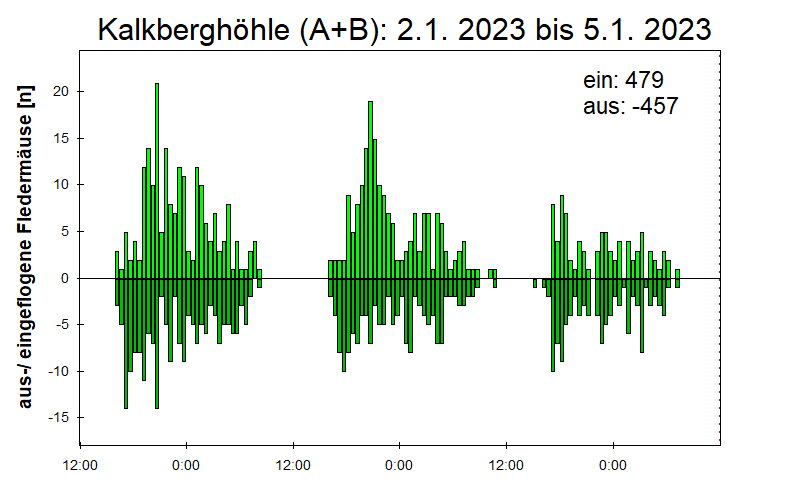 [Fledermaus] Lichtschranke: Segeberger Kalkberg (NABU Schleswig-Holstein)