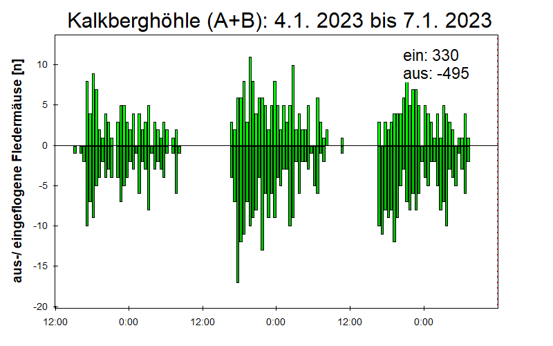[Fledermaus] Lichtschranke: Segeberger Kalkberg (NABU Schleswig-Holstein)