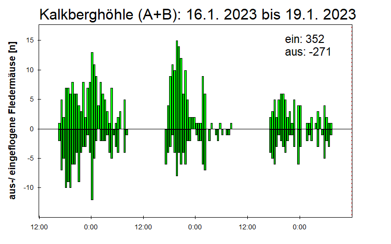 [Fledermaus] Lichtschranke: Segeberger Kalkberg (NABU Schleswig-Holstein)