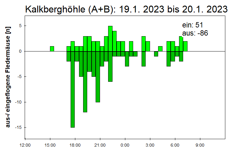[Fledermaus] Lichtschranke: Segeberger Kalkberg (NABU Schleswig-Holstein)
