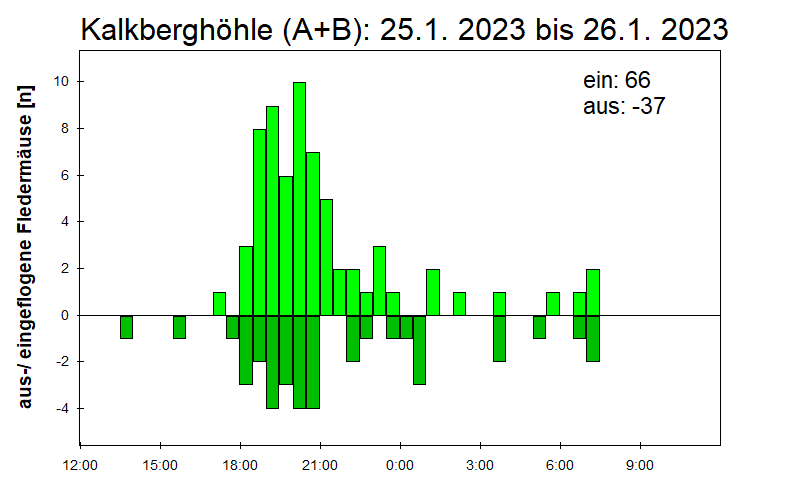 [Fledermaus] Lichtschranke: Segeberger Kalkberg (NABU Schleswig-Holstein)