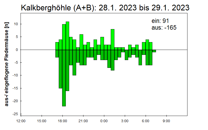 [Fledermaus] Lichtschranke: Segeberger Kalkberg (NABU Schleswig-Holstein)