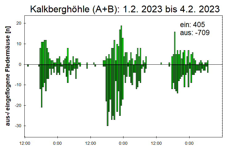 [Fledermaus] Lichtschranke: Segeberger Kalkberg (NABU Schleswig-Holstein)