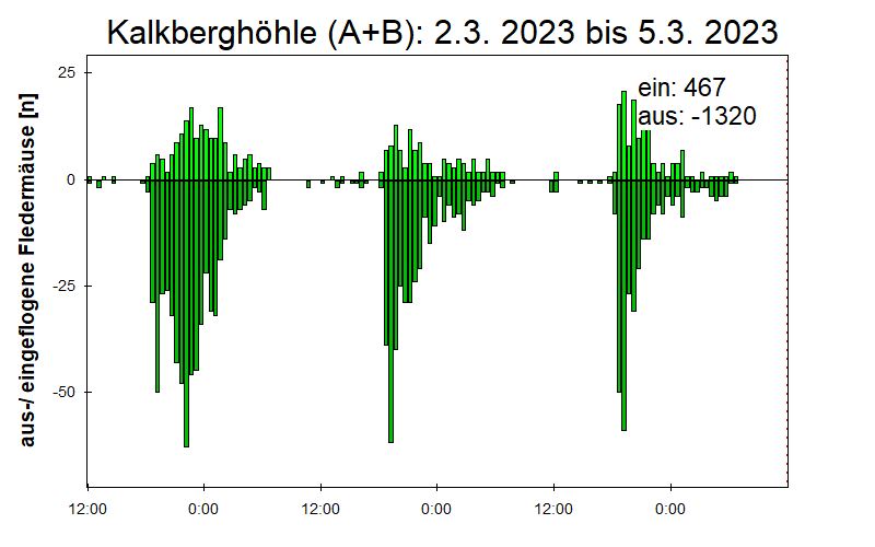 [Fledermaus] Lichtschranke: Segeberger Kalkberg (NABU Schleswig-Holstein)
