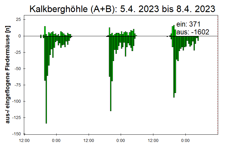 [Fledermaus] Lichtschranke: Segeberger Kalkberg (NABU Schleswig-Holstein)