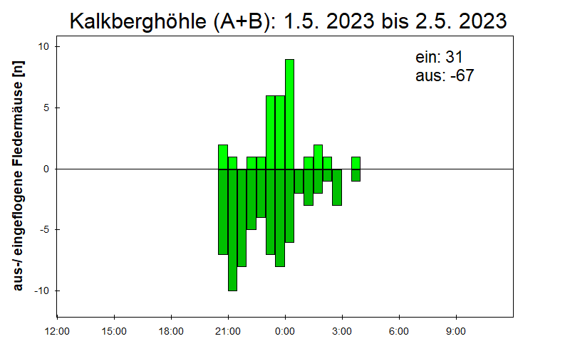 [Fledermaus] Lichtschranke: Segeberger Kalkberg (NABU Schleswig-Holstein)