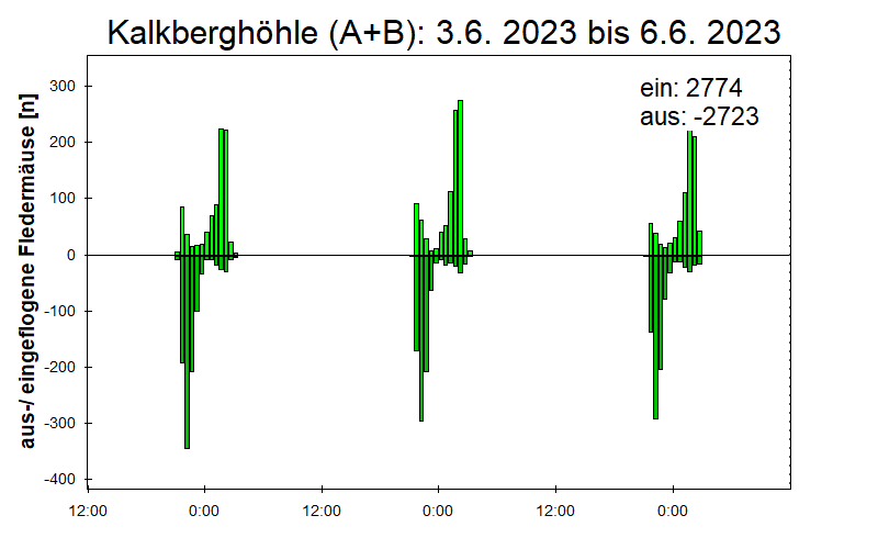 [Fledermaus] Lichtschranke: Segeberger Kalkberg (NABU Schleswig-Holstein)