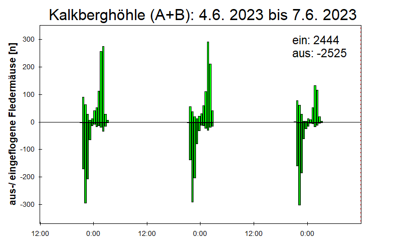 [Fledermaus] Lichtschranke: Segeberger Kalkberg (NABU Schleswig-Holstein)