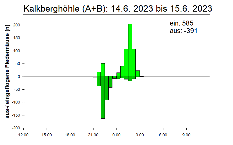 [Fledermaus] Lichtschranke: Segeberger Kalkberg (NABU Schleswig-Holstein)