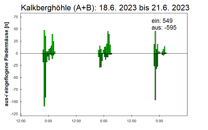 [Fledermaus] Lichtschranke: Segeberger Kalkberg (NABU Schleswig-Holstein)