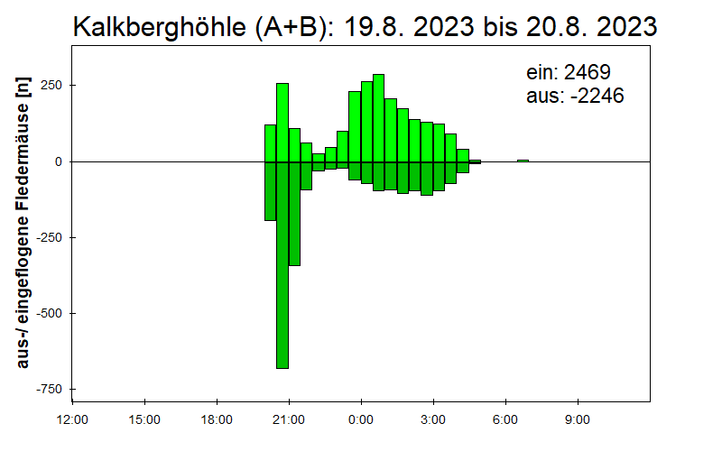 [Fledermaus] Lichtschranke: Segeberger Kalkberg (NABU Schleswig-Holstein)