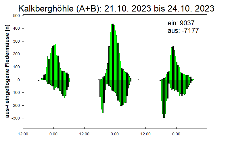 [Fledermaus] Lichtschranke: Segeberger Kalkberg (NABU Schleswig-Holstein)