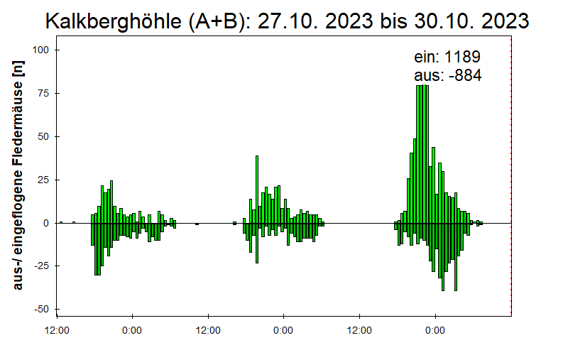 [Fledermaus] Lichtschranke: Segeberger Kalkberg (NABU Schleswig-Holstein)