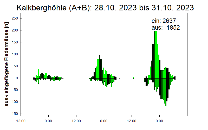 [Fledermaus] Lichtschranke: Segeberger Kalkberg (NABU Schleswig-Holstein)