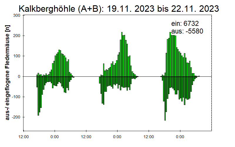[Fledermaus] Lichtschranke: Segeberger Kalkberg (NABU Schleswig-Holstein)