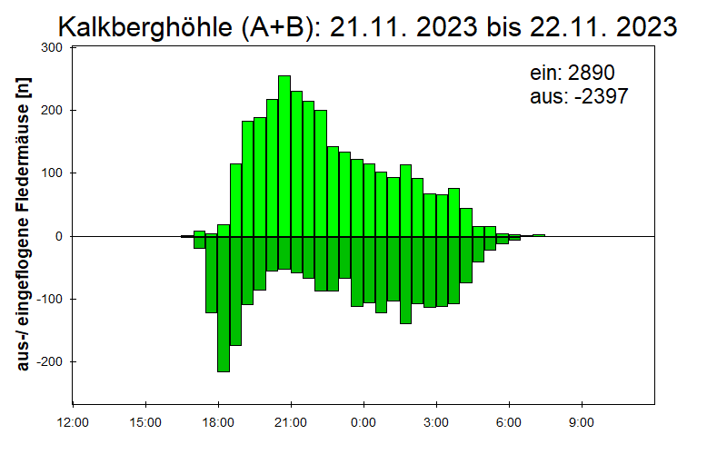 [Fledermaus] Lichtschranke: Segeberger Kalkberg (NABU Schleswig-Holstein)