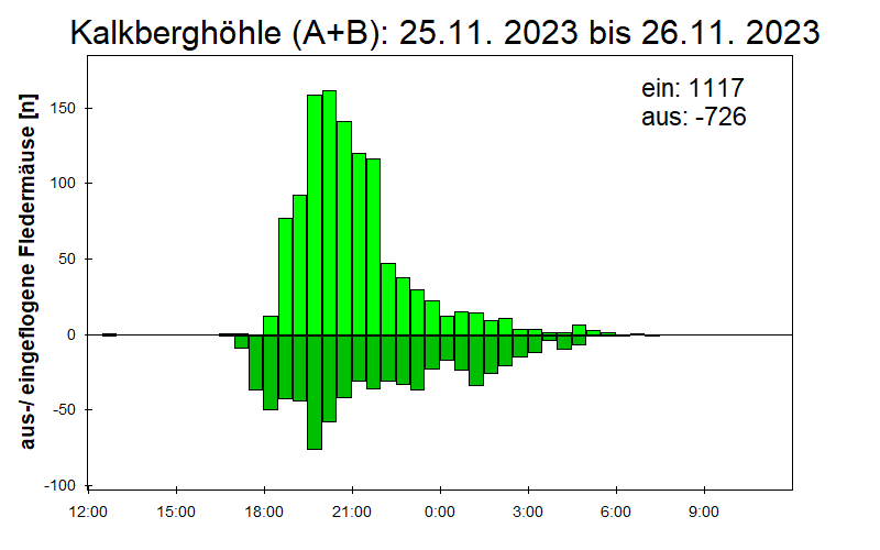 [Fledermaus] Lichtschranke: Segeberger Kalkberg (NABU Schleswig-Holstein)